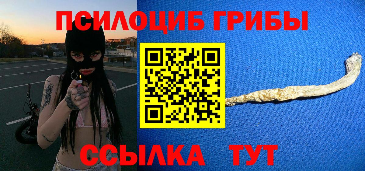 Псилоцибиновые грибы GOLDEN TEACHER  Псилоцибиновые грибы ЛСД  Вход с VPN  Кунгур 